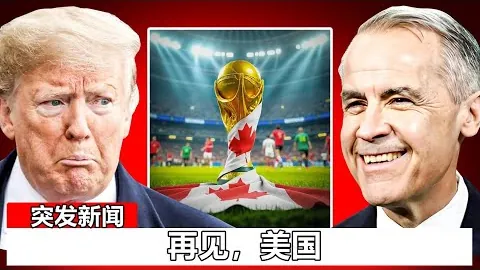 心桥融通，归途相伴：两岸青年携手共鸣 新华网深度报道